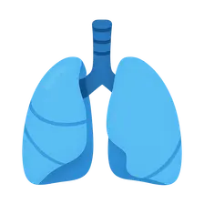 Chest wall compliance