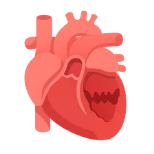 Valvular heart disease