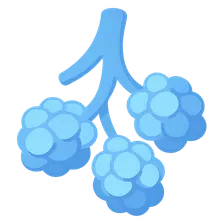 Microscopic Anatomy of Respiratory System