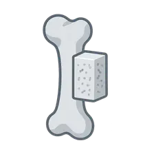 Allografts: Processing and Applications