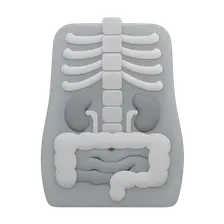 Radiographic Anatomy of Abdomen