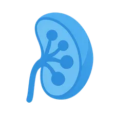 Secondary Immunodeficiency Disorders