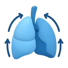 Elastic recoil of lung tissue
