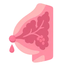 Lactation physiology