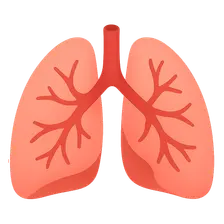 Pulmonary vascular disorders