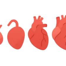 Comparative Cardiovascular System