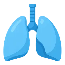 Respiratory Physiology