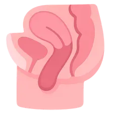 Pelvic Organ Prolapse: Classification