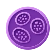 Lysosomal Storage Diseases