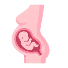 Management of Medical Disorders in Pregnancy