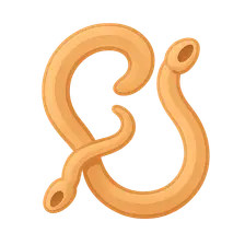 Schistosomiasis