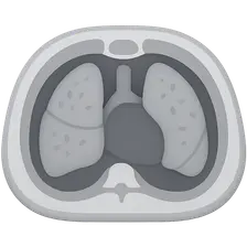 Cross-sectional Anatomy: Thorax