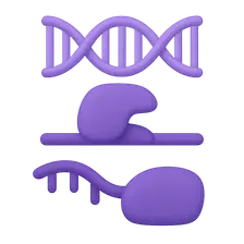 Regulation of Gene Expression