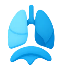 Respiratory Regulation of Acid-Base Balance