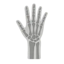 Radiographic Anatomy of Extremities