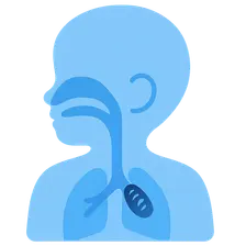 Foreign Body Aspiration