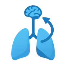 Respiratory regulation of acid-base