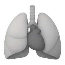 Mediastinum