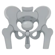 Male Pelvic Imaging