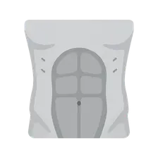 Anterior Abdominal Wall