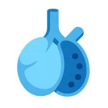 Alveolar dead space (high V/Q)