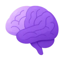 Cerebral cortex and lobes