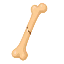 Fragility Fractures