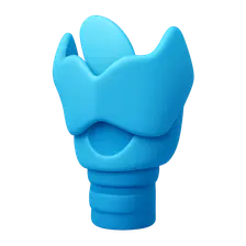 Anatomy of the Larynx