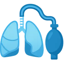 Applied Respiratory Physiology
