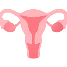Evaluation of Female Sexual Dysfunction