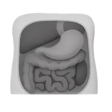 Imaging of Peritoneal Cavity and Retroperitoneum