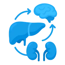 Interorgan Metabolite Exchange
