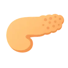 Diabetes mellitus pathology