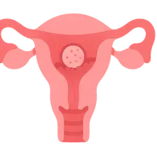 Implantation physiology