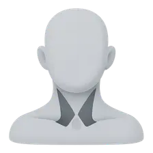 Triangles of the neck