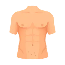 Abdominal surface landmarks