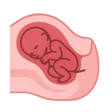 Cesarean Section Techniques