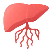 Portal hypertension complications