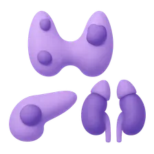 Multiple Endocrine Neoplasia