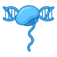 Transcription: RNA Synthesis