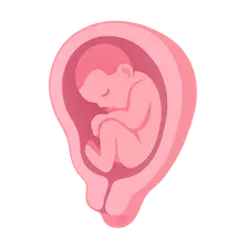 Stages of Labor and Normal Progression