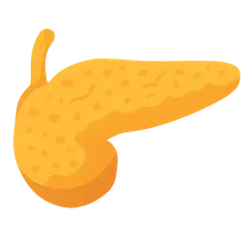 Chronic pancreatitis pathophysiology