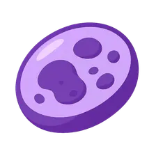 Lysosomal Storage Diseases