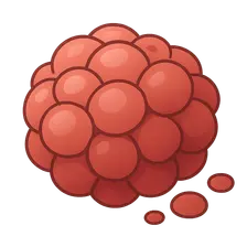 Hematological Malignancies