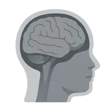Cross-sectional Anatomy: Brain and Head