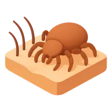 Drugs for Parasitic Skin Infestations