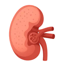 Hypertensive nephrosclerosis