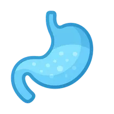 Full Stomach Considerations