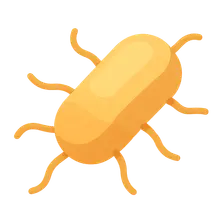Clostridium difficile infection