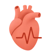 Bradyarrhythmias and conduction disorders